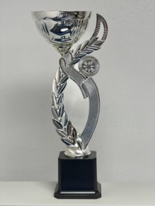 Metal trophies dubai
